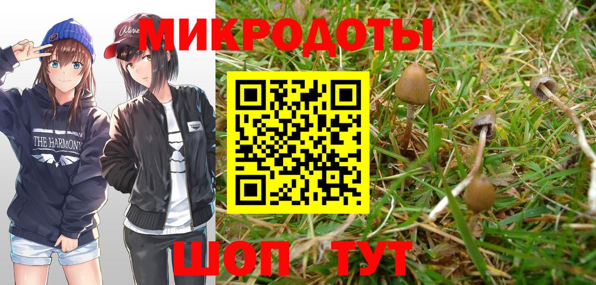 Галлюциногенные грибы ЛСД Грозный