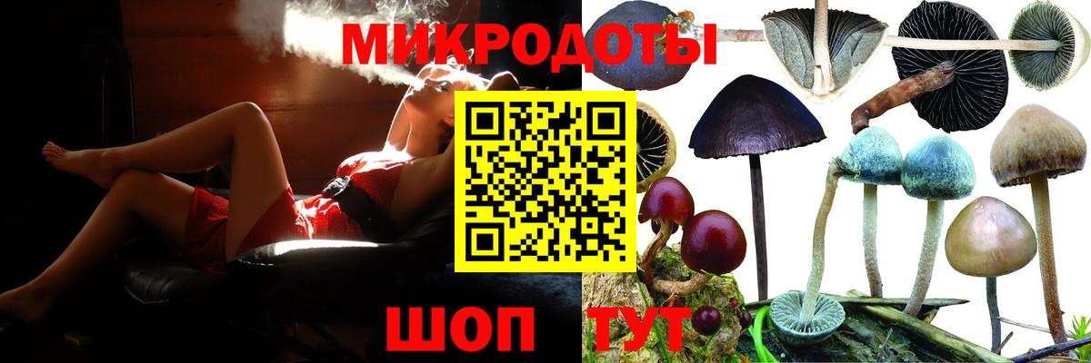 Грозный  Псилоцибиновые грибы прущие грибы  Вход с VPN 